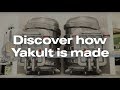 Yakult | How It’s Made