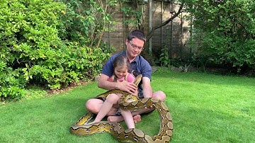 Teaching my daughter young about snakes.