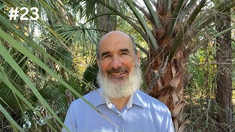 What is Deflection? - 23