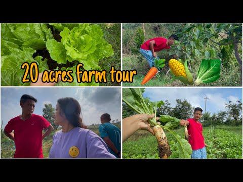 My hard working brother and his farm #dechensky #tibetanyoutuber #tibetanvlogger #kollegal #farmlife