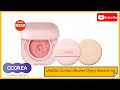 2022 ccorea vlogs laneige cushion blusher cherry blossom 5g