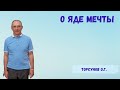 Торсунов О.Г.  О яде мечты