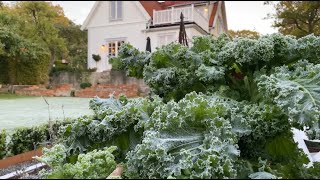 #14 Winter Prep - Garden Harvest, Jalapẽno Canning and Fresh Apple Juice