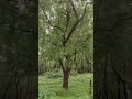 रोड की सुंदरता