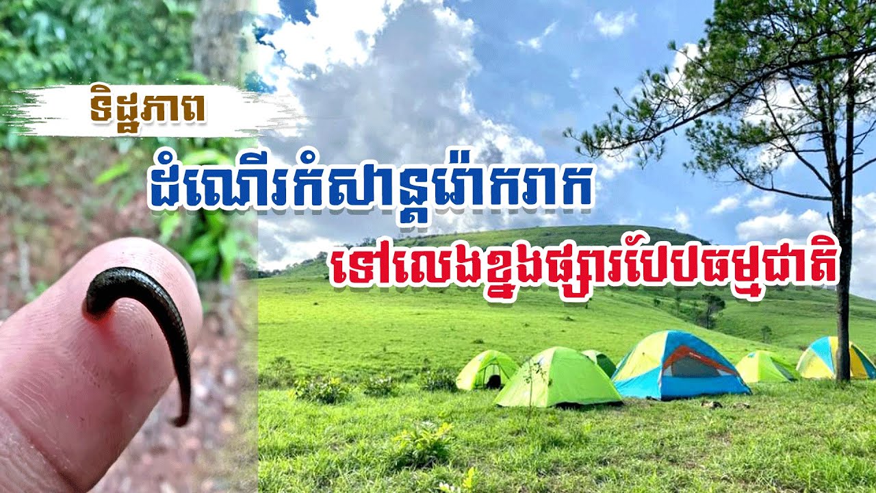 ទិដ្ឋភាព ដំណើរកំសាន្តរ៉ោករាក ទៅលេងខ្នងផ្សារបែបធម្មជាតិ | Khnong Psa #camping