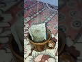Green Tea With Me 🤣
