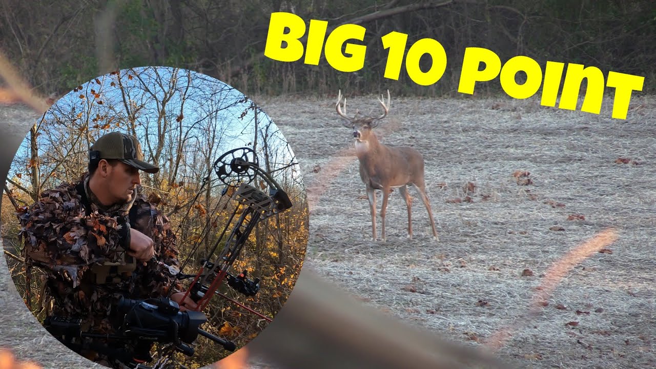 BOW HUNTING OHIO BIG 10 POINT | IN THE TREE FOR 5min