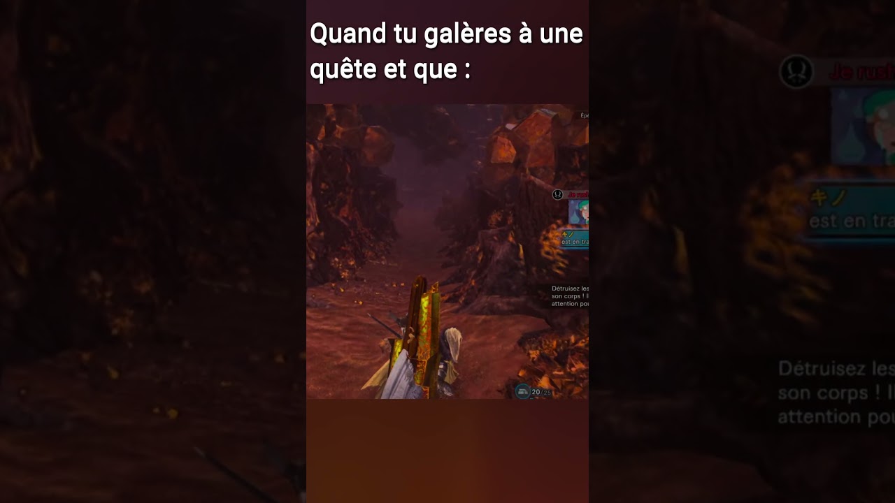 Vive les japonais et chinois  