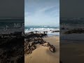 Mi Isla Bella 