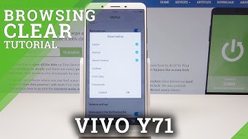 How to Clear Browser Data in VIVO Y71 - Reset History & Cookies
