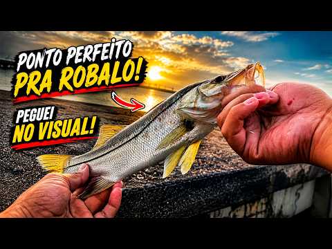 Miniatura do vídeo: PONTO PERFEITO PRA ROBALO! | Caminho Niemeyer - Niterói 🎣