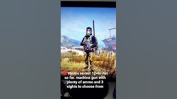 #DayZ official server 12+hr run so far. USG-45