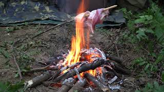 Solo Overnight Bushcraft Survival in The Forest - Cooking ASMR / Backpack alone