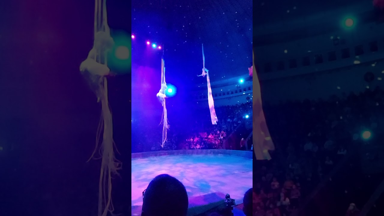 National Circus of Ukraine🎪,Kyiv 🇺🇦