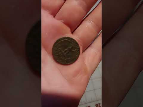 black beauty quarter
