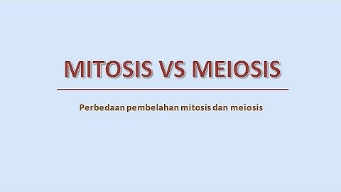 Berikut adalah perbedaan antara pembelahan sel secara mitosis dan meiosis kecuali