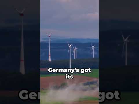 Why the White