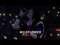 Wildflower Billie Eilish Ringtone Lyrics 