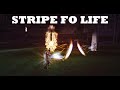 STRIPE FOR LIFE - WhiteStripe l Lineage 2 Duelist Olympiad games
