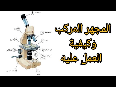 المجهر المركب وكيفية العمل عليه