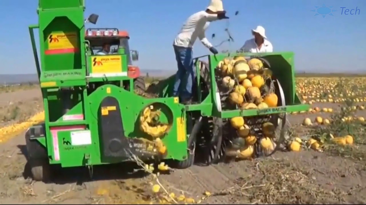 broccoli harvesting machine agricultural machinery part 7 YouTube
