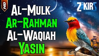 Surah Al Mulk,Surah Ar Rahman,Surah Al Waqiah,Surah Yasin, Paling Merdu