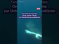 Forscher:innen vermuten: Orcas lassen Fische zur Unterhaltung explodieren