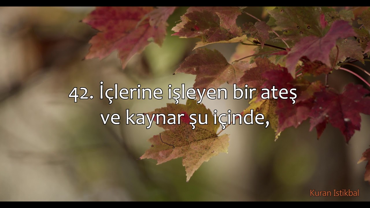 Vakia Suresi - Mansur al Salimi