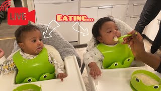 Twins!😍TWINS EATING PORRIDGE  FOR THE FIRST TIME 🥰4 MONTHS BABY LOVES AND EAT FOOD