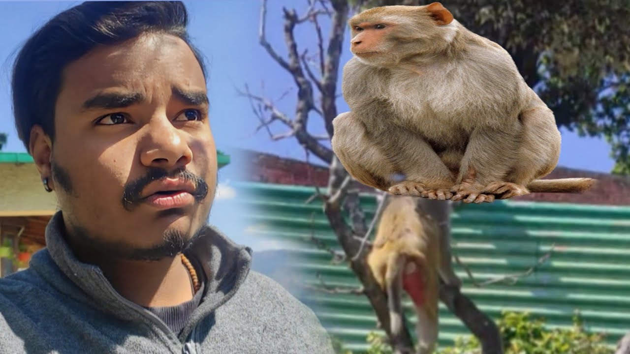 Kese Bachu Inse 😱😱