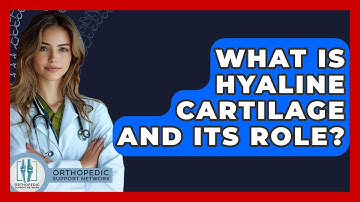 What Is Hyaline Cartilage And Its Role? - Orthopedic Support Network