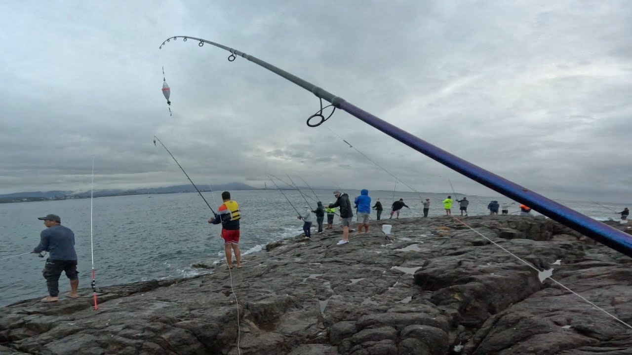 Bonito Rig ROCK FISHING || SOUTH COAST || COCO RIG || BONITO || TOP WATER FISHING ...
