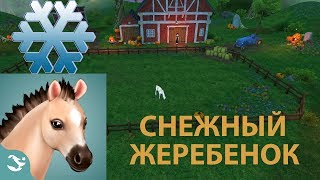 Выращивание Жеребенка Игра Стар Стейбл Хорсес