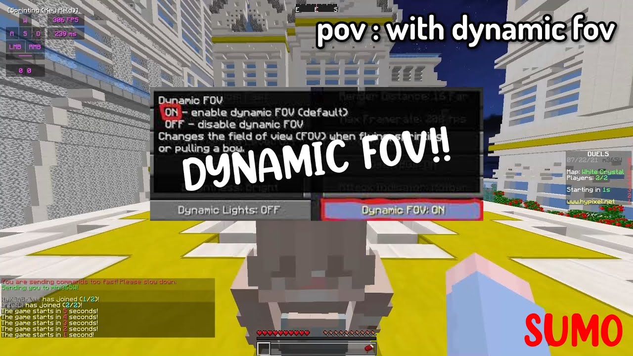 POV : YOU TRUN OFF YOUR DYNAMIC FOV - YouTube