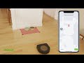 Un aspirateur robot qui sait éviter des zones précises - Keep out zones | Roomba® s9+ | iRobot®