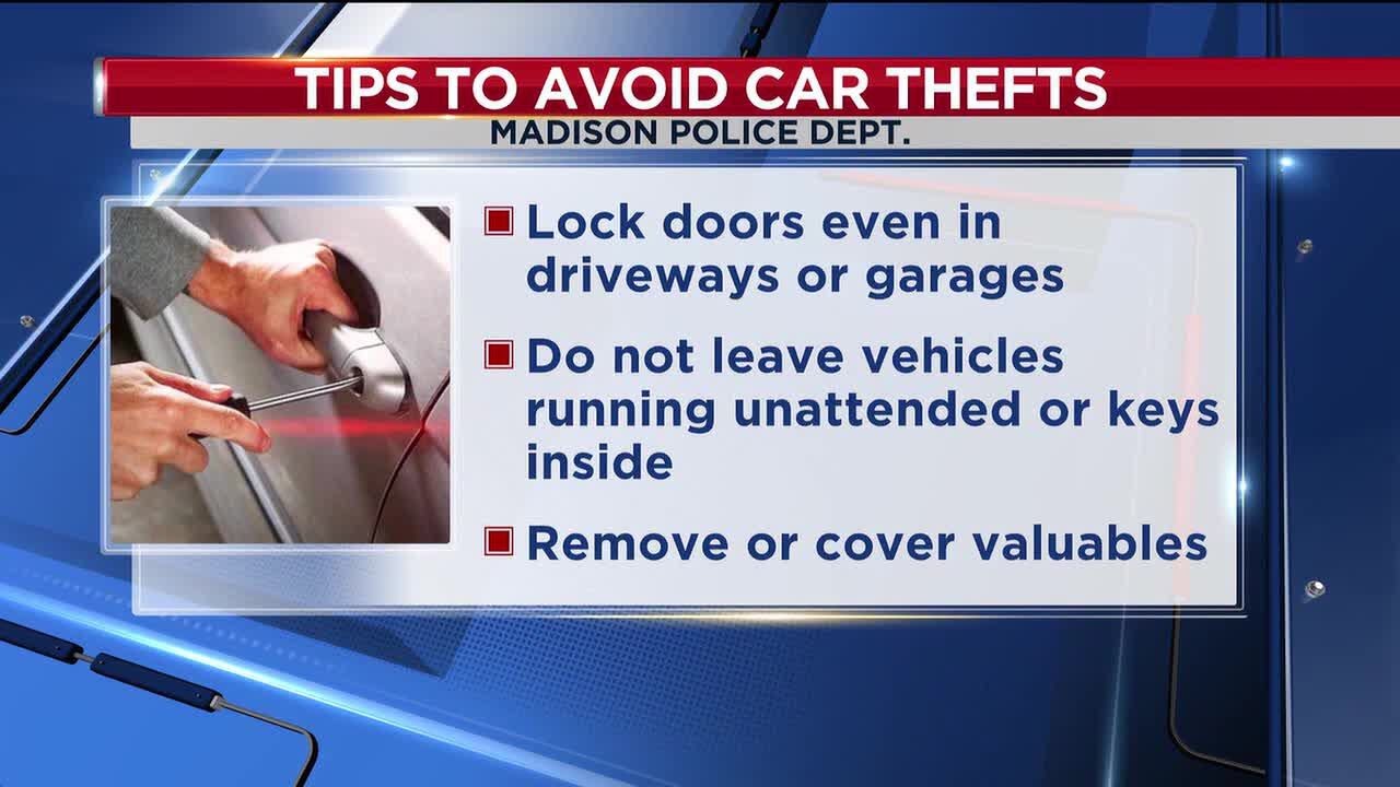 Madison police use K-9, drone to track juveniles after stolen vehicle incident