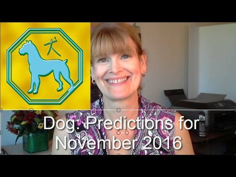 Dog: Predictions for November 2016