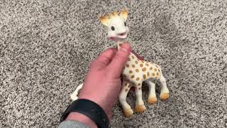 What You Should Know - Giraffe Baby Teether