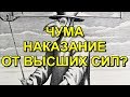 Чума - наказание от Высших Сил?