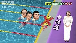 TPP与党から今国会成立“断念”の声　参院選にらみ(16/04/13)
