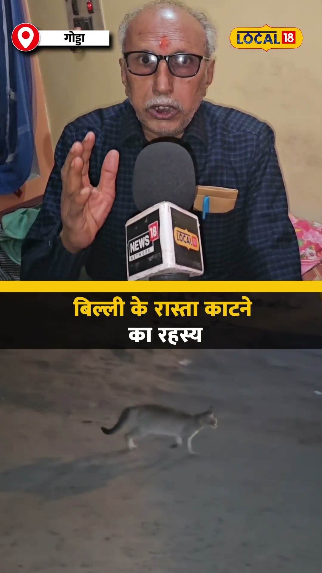Astro Tips: क्या बिल्ली की वजह से टल सकता है आपका बड़ा नुकसान? सच जानें! | #local18shorts