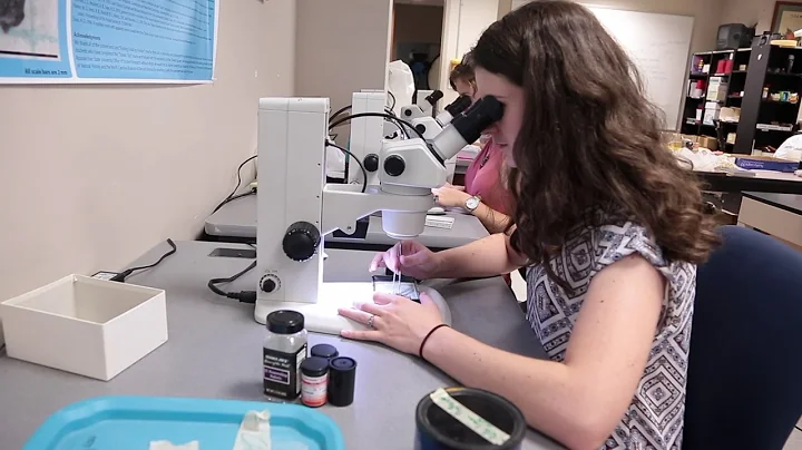 Paleontology, Department of Geological and Environ...