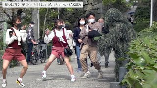葉っぱマン 桜 【ドッキリ】 Leaf Man Pranks 20 - SAKURA