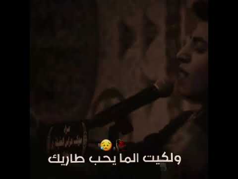 مسلم الوائلي سوالف العشاق 