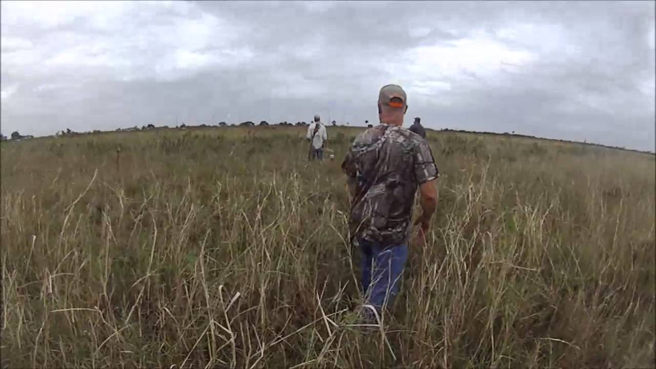 Dog Hunt with Kissimmee River Hunt and Fish 