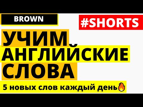 Учим английское слово brown, предложения с brown #shorts
