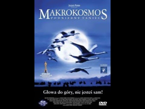 Video: Co Je Makrokosmos