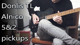 Donlis TL Pickups Alnico 5&2 Mixed | guitar loop (no talking)