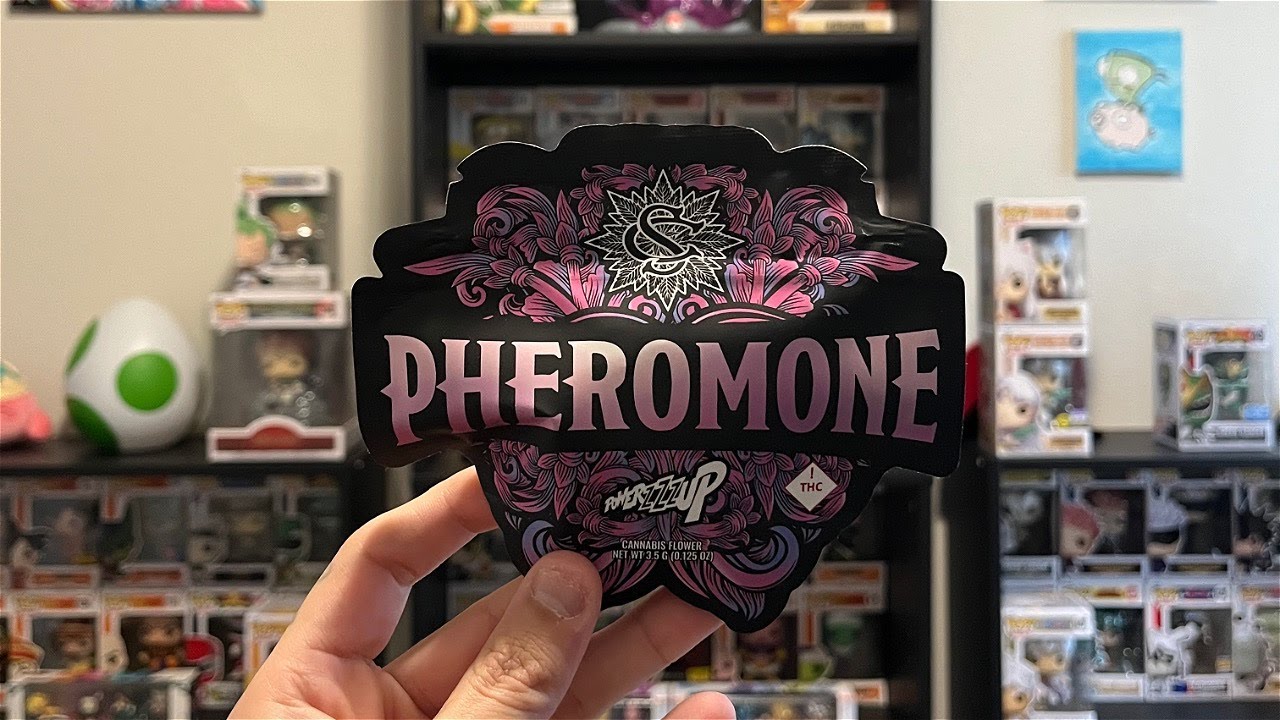Trying Out Some Pheromone Flower From Serge Cannabis x Powerzzzup!!