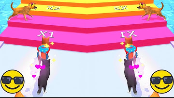 GROOMER RUN 3D 🐕🍖🐕‍🦺 Gameplay All Levels iOS, Android Walkthrough Game Mobile New Level